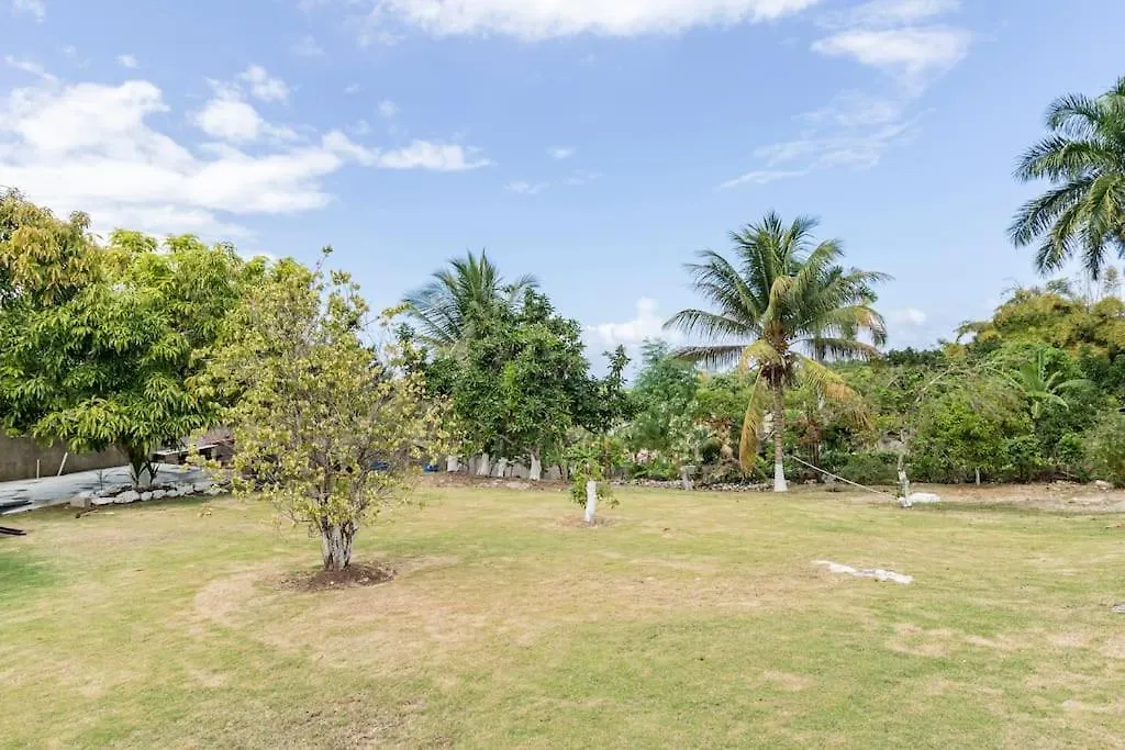 La Rose Apartment Montego Bay